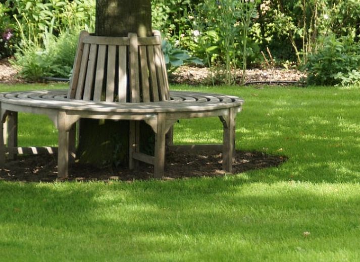 Ruhiger Garten am Ferienhaus in Nieuw Heeten, bluehende Pflanzen und schattige Wege in Salland, Overijssel.
