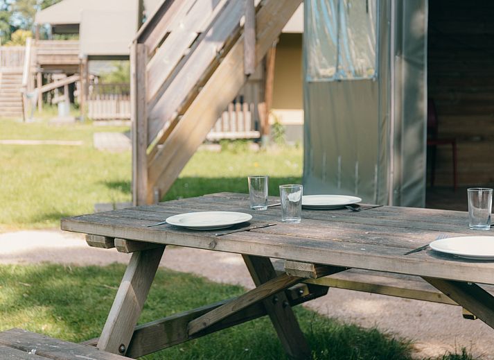 Guest house 534418 - Tent house Salland - Safaricottage XS + privé sanitair