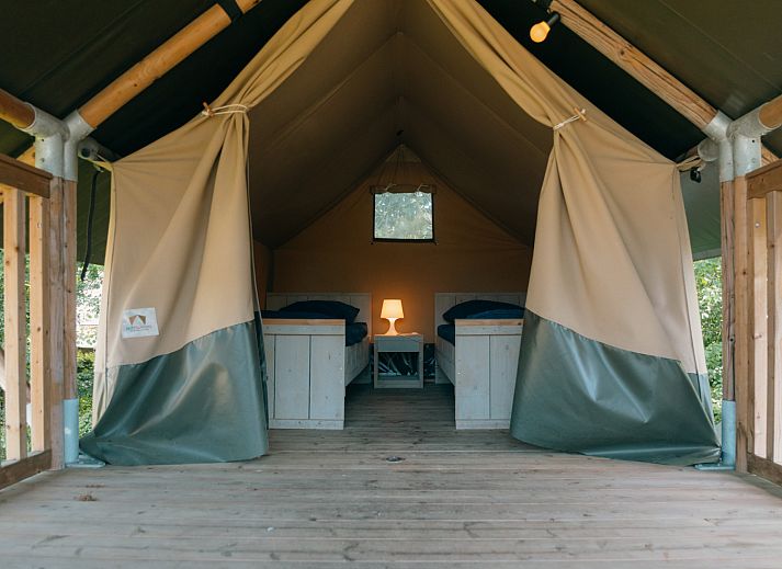 Guest house 534418 - Tent house Salland - Safaricottage XS + privé sanitair