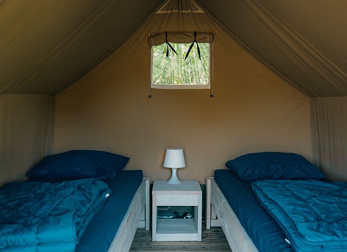 Guest house 534418 - Tent house Salland - Safaricottage XS + privé sanitair