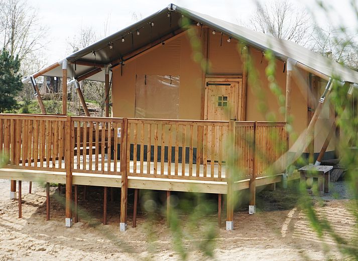 Unterkunft 534420 - Zelthaus Salland - Luxe Safaritent aan het water