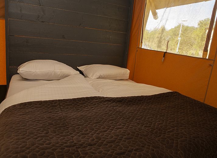 Guest house 534426 - Holiday property Salland - Safaricottage XL