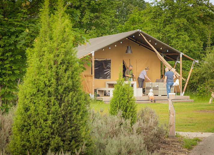 Guest house 534427 - Tent house Salland - Safaritent