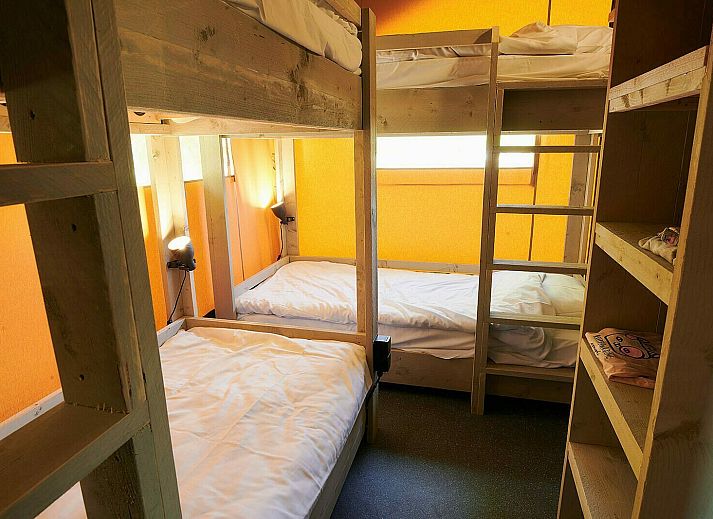 Guest house 534427 - Tent house Salland - Safaritent