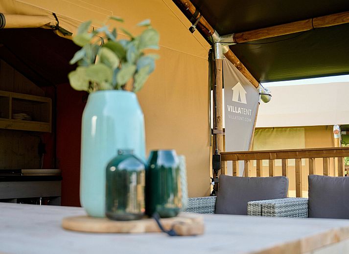 Guest house 534427 - Tent house Salland - Safaritent