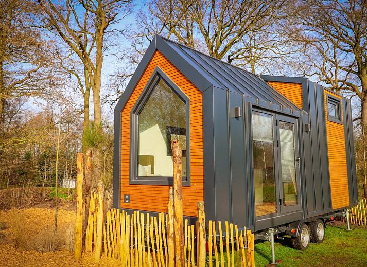 Guest house 534429 • Holiday property Salland • Tiny House 