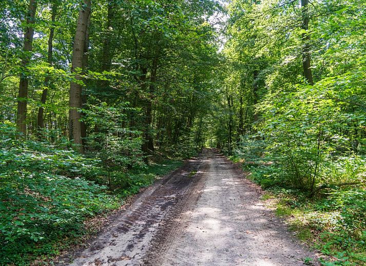 Lichte slaapkamer met dakraam in vakantiehuis Reggezicht, Marle, Salland, Overijssel, met uitzicht op natuur.