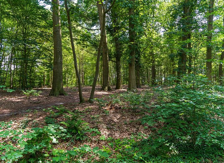 Tweede slaapkamer van Weidezicht A in Marle, Overijssel met dakraam voor natuurlijk licht.