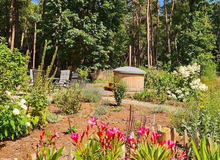 Snowy landscape around Holiday home in Ommen, in the middle of the Vecht region, Overijssel.