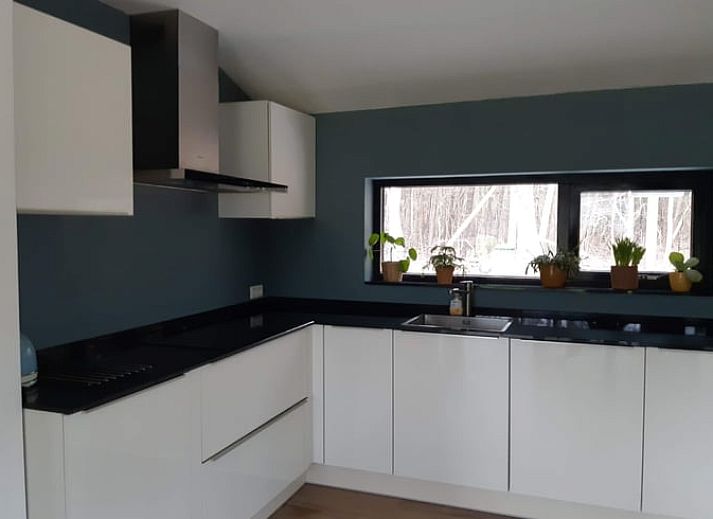 Parking at Holiday Home in Ommen, Vecht region, Overijssel, with classic car.