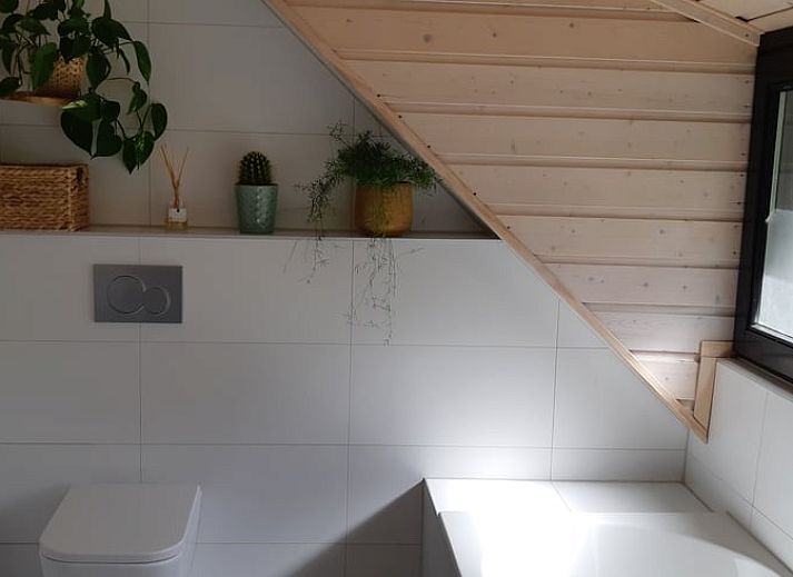 Outdoor terrace of Holiday Home in Ommen, Vechtstreek, Overijssel, with hot tub.