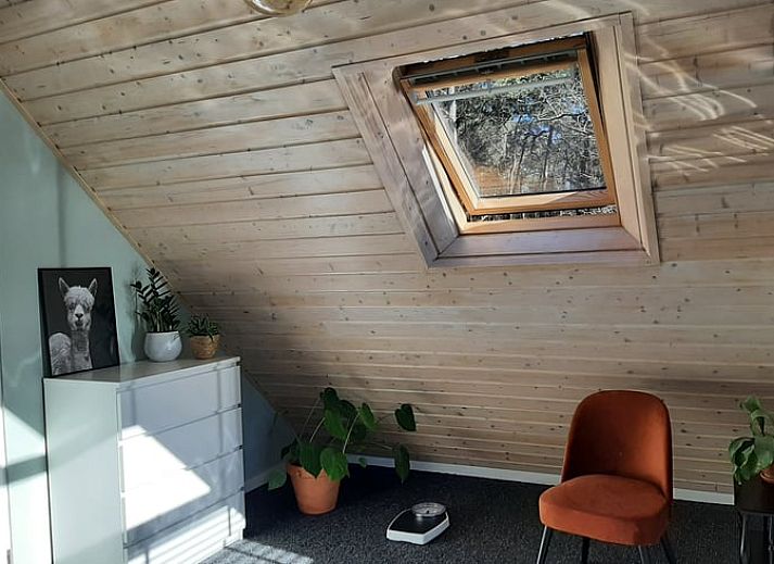 Outdoor terrace of Holiday Home in Ommen, Vechtstreek, Overijssel, with hot tub.