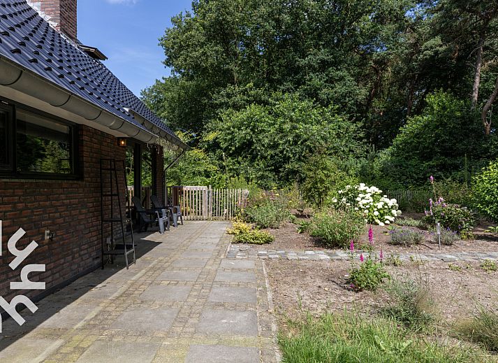 Luchtfoto van vakantiehuis OV224 in Ommen, Vechtstreek, Overijssel omgeven door groen.