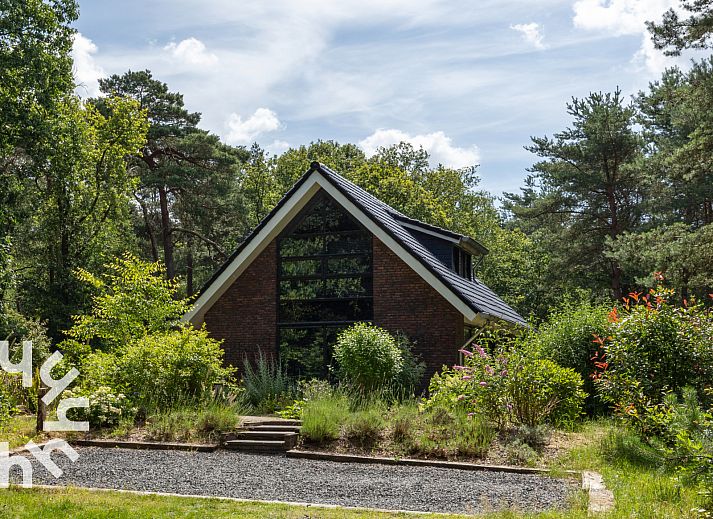 Vlinders op bloemen in de tuin van vakantiehuis OV224 in Ommen, Vechtstreek, Overijssel.