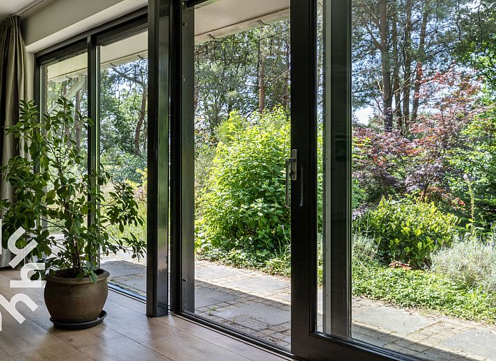Vlinders op bloemen in de tuin van vakantiehuis OV224 in Ommen, Vechtstreek, Overijssel.