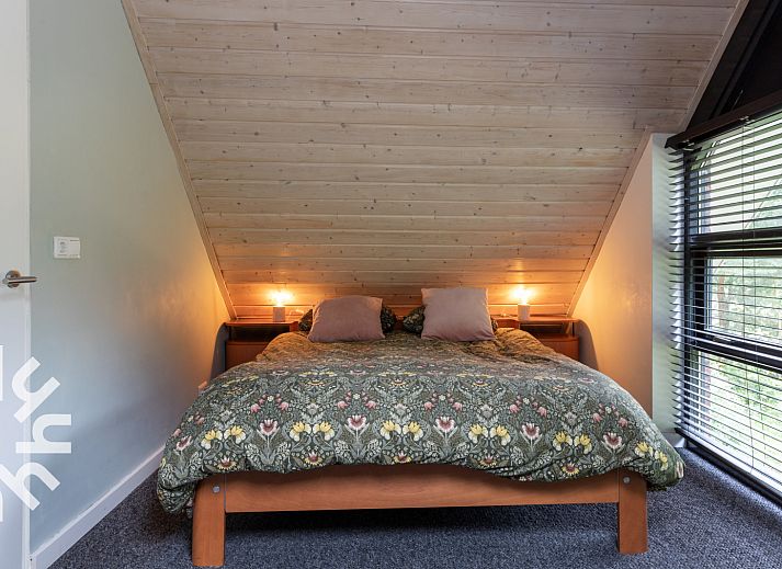 Vlinders op bloemen in de tuin van vakantiehuis OV224 in Ommen, Vechtstreek, Overijssel.