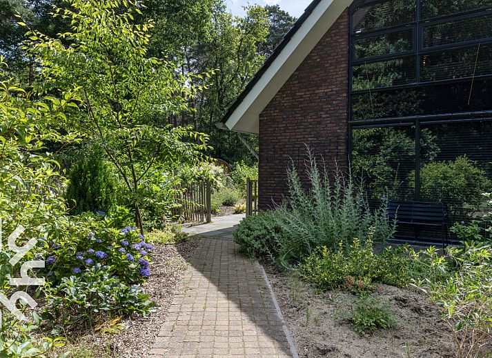 Hottub bij vakantiehuis OV224 in Ommen, Vechtstreek, Overijssel omgeven door natuur.