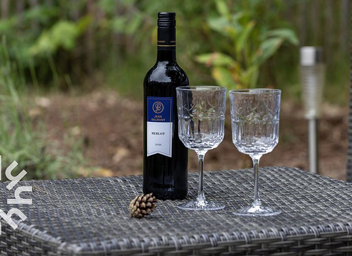 Hottub bij vakantiehuis OV224 in Ommen, Vechtstreek, Overijssel omgeven door natuur.