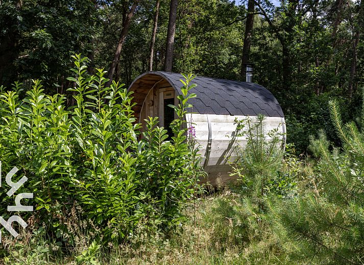 Hottub bij vakantiehuis OV224 in Ommen, Vechtstreek, Overijssel omgeven door natuur.