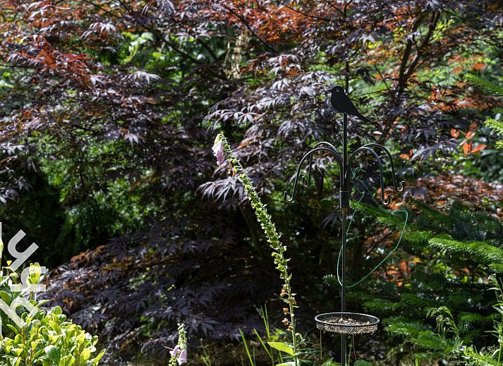 Panoramisch zicht op vakantiehuis OV224 in Ommen, Vechtstreek, Overijssel en omliggende natuur.