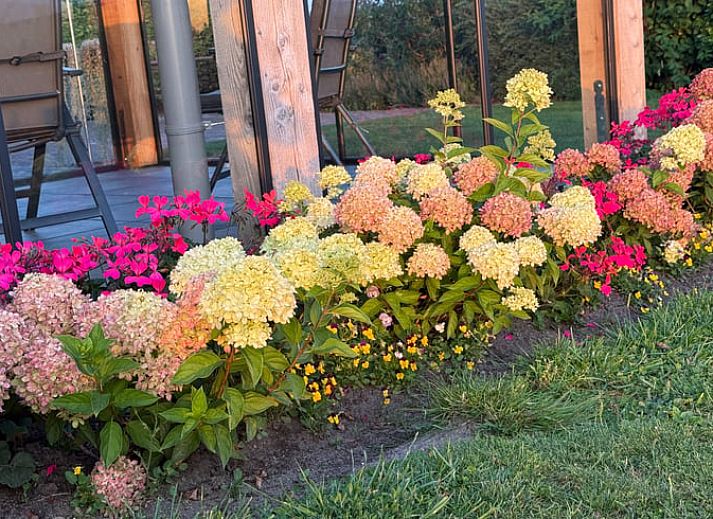 Gemuetliches Wohnzimmer im Ferienhaus in Ommen, Overijssel.