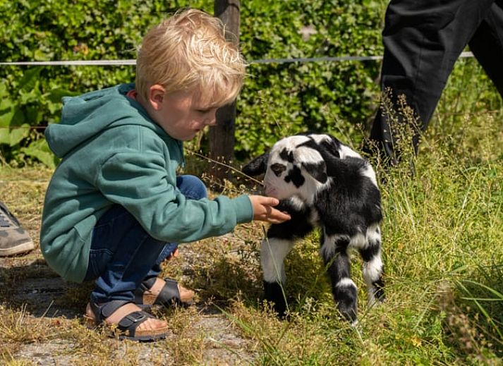 Attraktives Schlafzimmer in einem Ferienhaus in Ommen, Region Vechta.