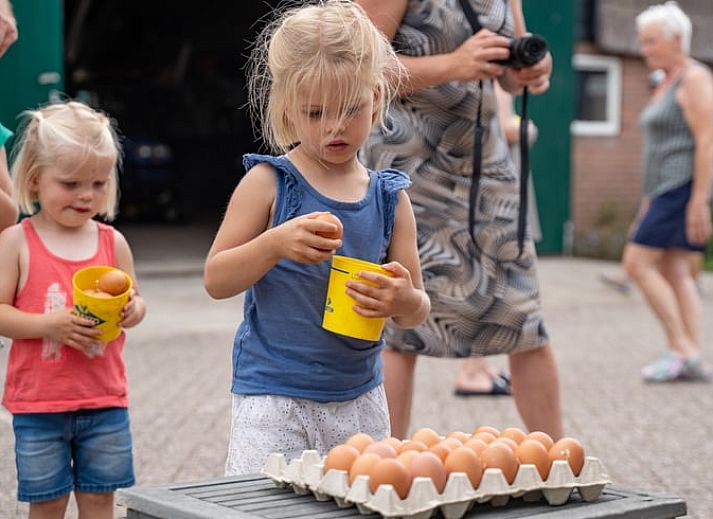 Attraktives Schlafzimmer in einem Ferienhaus in Ommen, Region Vechta.