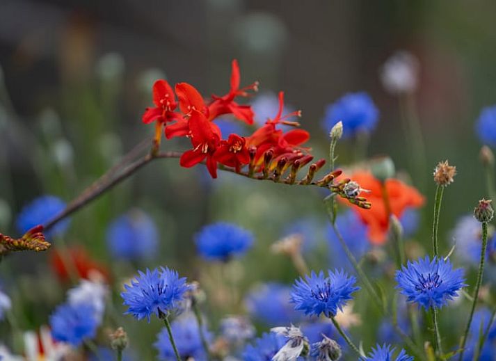 Geraeumiges Badezimmer im Ferienhaus in Ommen, Overijssel.