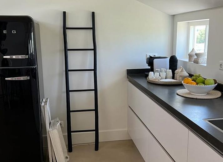 Geniet van de serene tuin van Vakantiehuis in Ommen, een prachtige vakantiewoning in de groene Vechtstreek, Overijssel.