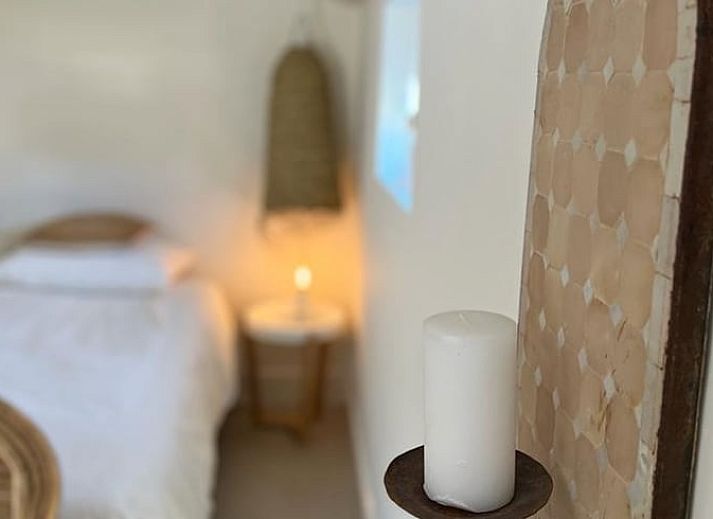 Geniet van de serene tuin van Vakantiehuis in Ommen, een prachtige vakantiewoning in de groene Vechtstreek, Overijssel.