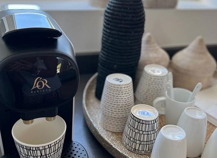 Geniet van de serene tuin van Vakantiehuis in Ommen, een prachtige vakantiewoning in de groene Vechtstreek, Overijssel.