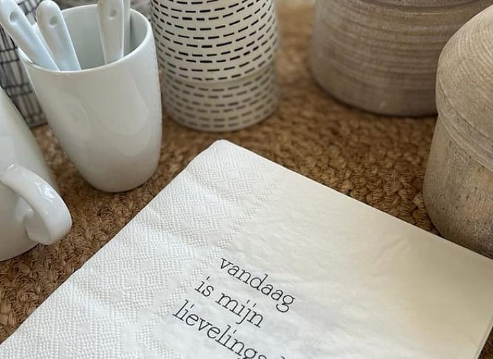 Vakantiehuis in Ommen biedt landelijke charme met een prachtig uitzicht op een weide met paard, gelegen in de Vechtstreek, Overijssel.