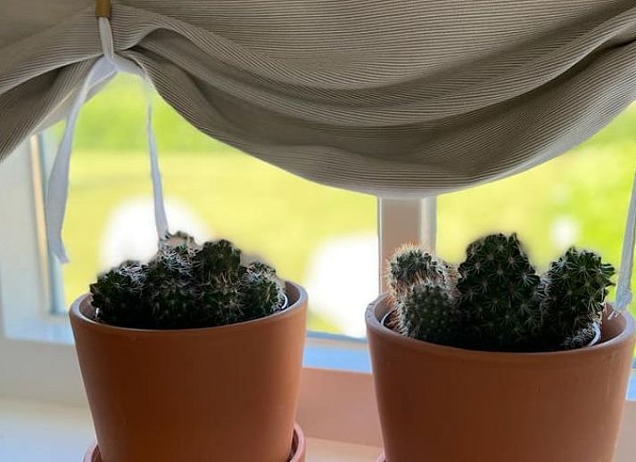 Vakantiehuis in Ommen biedt landelijke charme met een prachtig uitzicht op een weide met paard, gelegen in de Vechtstreek, Overijssel.