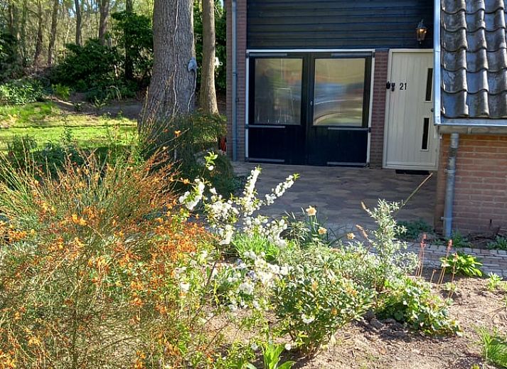 Unterkunft 540123 - Ferienhaus Vechtstreek - Vakantiehuisje in Ommen