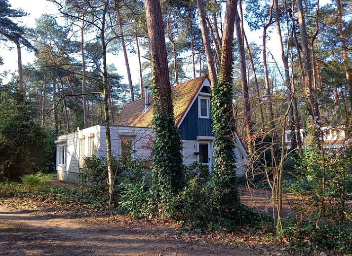 Guest house 540131 • Holiday property Vechtstreek • Huisje in Ommen
