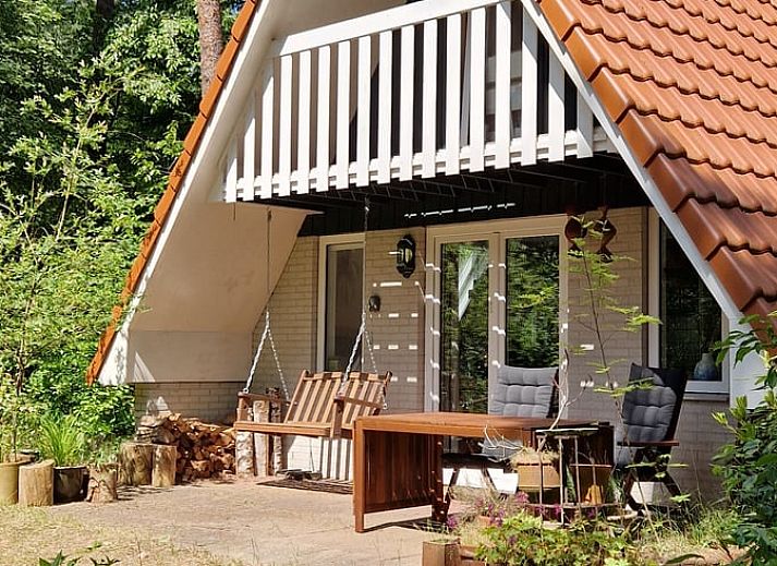 Cottage in Ommen, cottage in Ommen, Vecht region, Overijssel, surrounded by green nature and a sunny veranda.