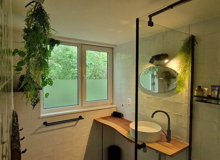 Cottage in Ommen, cottage in Ommen, Vecht region, with cozy garden and wood storage in a wooded area.