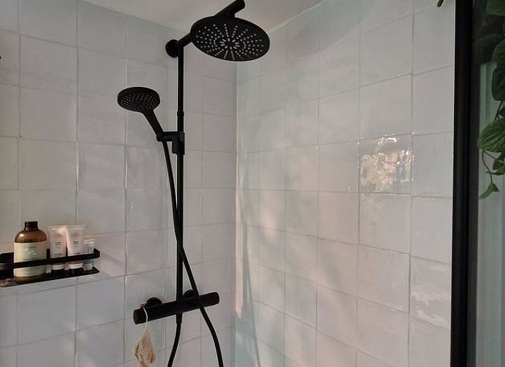 Cottage in Ommen, cottage in Ommen, Vecht region, with cozy garden and wood storage in a wooded area.