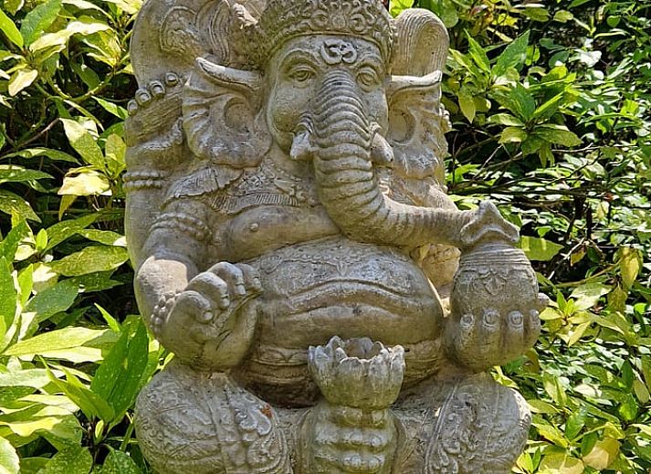 Cottage in Ommen, cottage in Ommen, Vecht region, with cozy garden and wood storage in a wooded area.