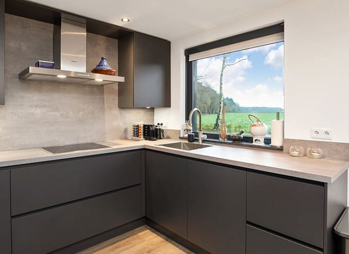 Enjoy the serene wooded garden of Holiday Home in Ommen, located in the Vecht region, Overijssel, with atmospheric lighting on the terrace.