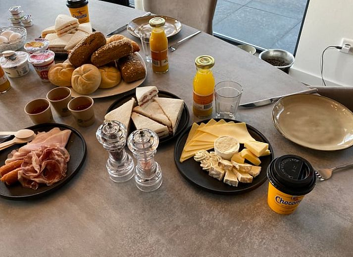 Vacation home in Ommen, a modern vacation home in the Vecht region, Overijssel, surrounded by wooded nature and equipped with a cozy terrace.