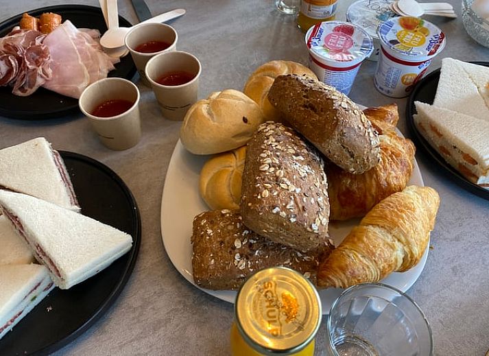 Vacation home in Ommen, a modern vacation home in the Vecht region, Overijssel, surrounded by wooded nature and equipped with a cozy terrace.