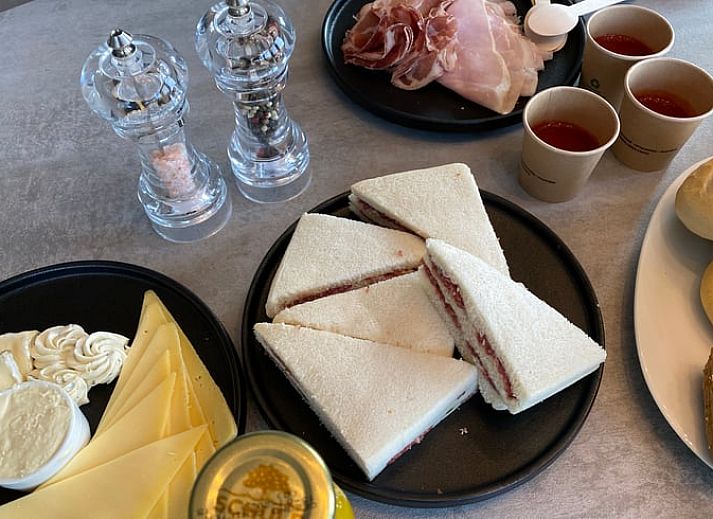 Vacation home in Ommen, a modern vacation home in the Vecht region, Overijssel, surrounded by wooded nature and equipped with a cozy terrace.