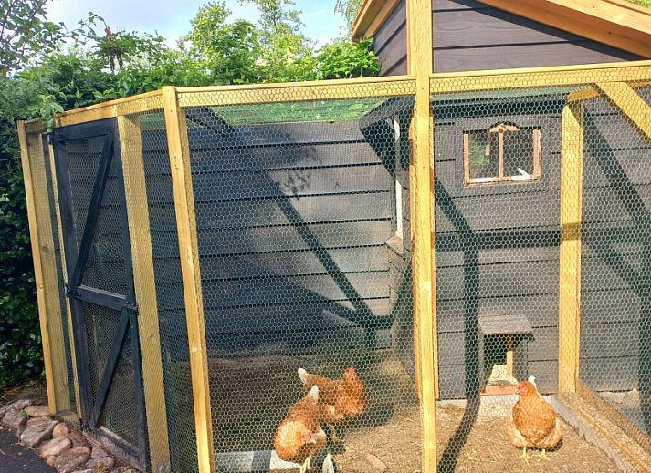 Unterkunft 540152 - Ferienhaus Vechtstreek - Het Ommetje Ommen