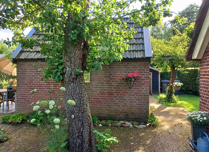 Unterkunft 540152 - Ferienhaus Vechtstreek - Het Ommetje Ommen