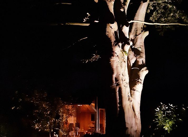 Unterkunft 540152 - Ferienhaus Vechtstreek - Het Ommetje Ommen