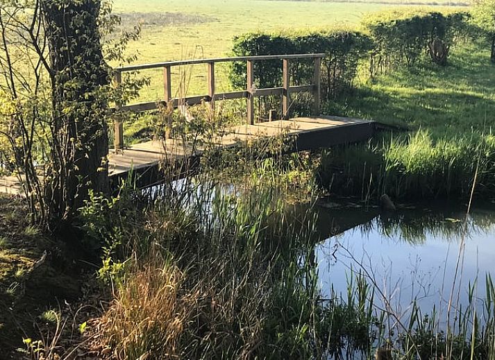 Unterkunft 540156 - Ferienhaus Vechtstreek - Vakantiehuisje in Ommen