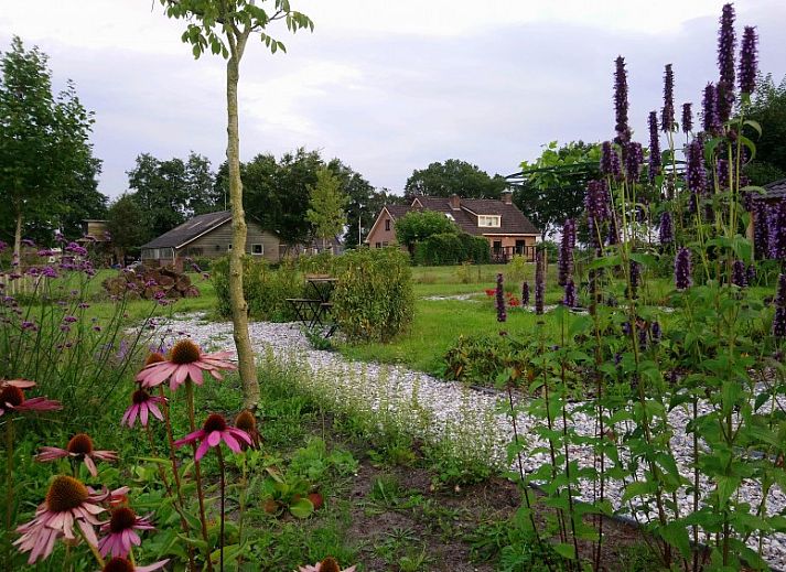 De Bosuil vakantiehuis in Punthorst, Overijssel, met bloeiende tuin en schommel in landelijke omgeving.