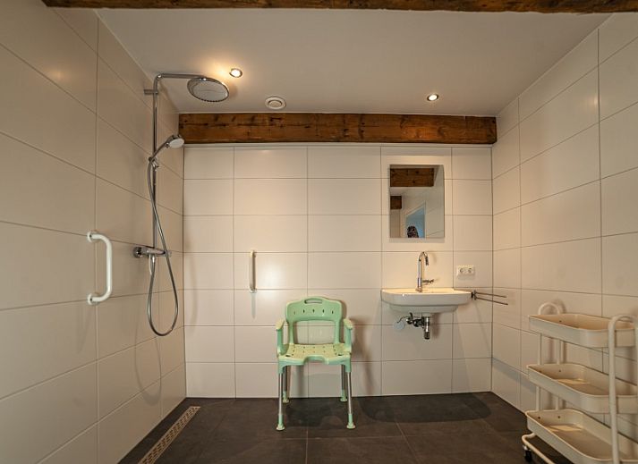 Natuurrijke omgeving van De Bosuil vakantiehuis in Punthorst, Overijssel, met bloementuin en wandelpaden.