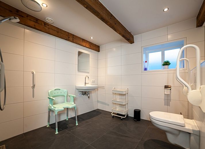 Natuurrijke omgeving van De Bosuil vakantiehuis in Punthorst, Overijssel, met bloementuin en wandelpaden.